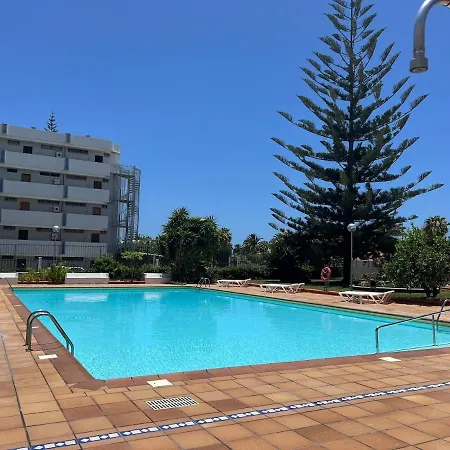 Lapo Near Yumbo Maspalomas (Gran Canaria)